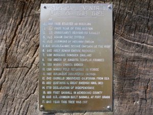 The plaque on the huge redwood cross-section in Fort Bragg.  The signing of the Declaration of Independence is 4th from the bottom.