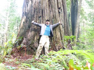 Me in front of an old-growth redwood tree.  As the trees age, their fibrous reddish bark withers away.  You can tell an old growth redwood not only by its size, but by its grey color.