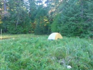 My campsite between Meyers Chuck and Wrangell.